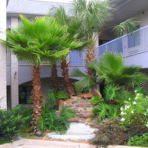 Scott Inn & Suites - Downtown Houston Exterior photo
